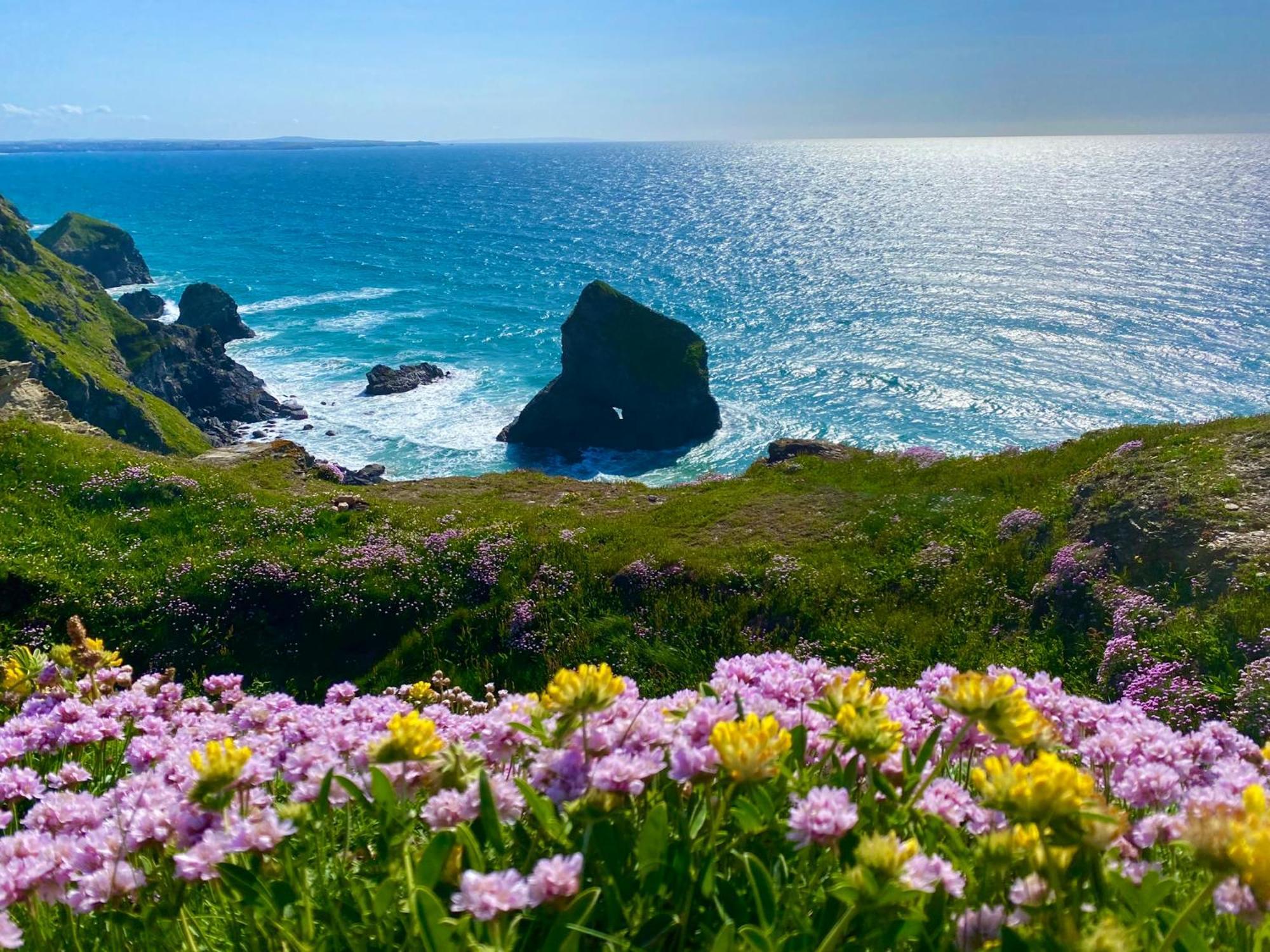 Polrunny Farm Sloe Cottage With A Sea View Боскасъл Екстериор снимка
